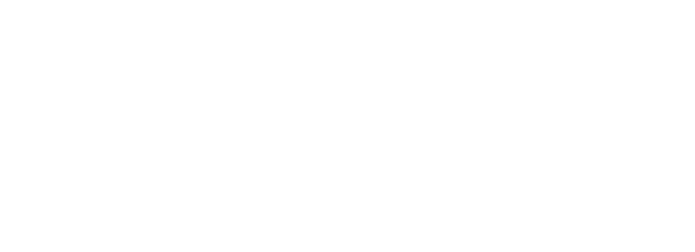 Raynet 25 white logo