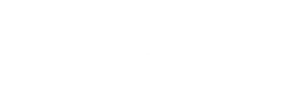 Turk Telekom white logo