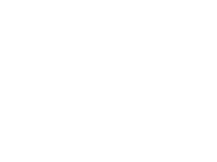 100PL_Logo_RZ 100PL_Logo_RZ